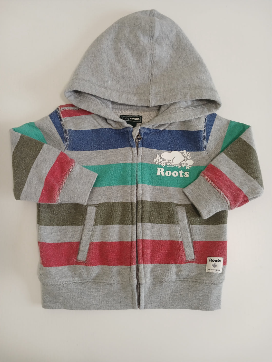 <b>ROOTS</b> Washed Striped Zip Hoodie