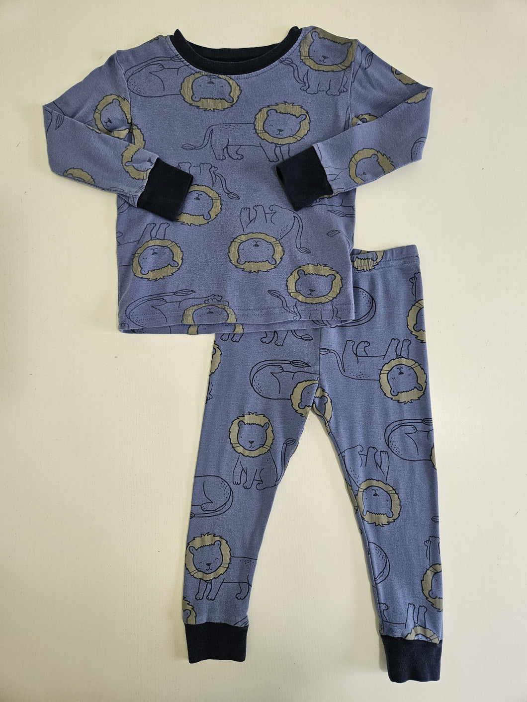 Other • Lion Print Pajamas