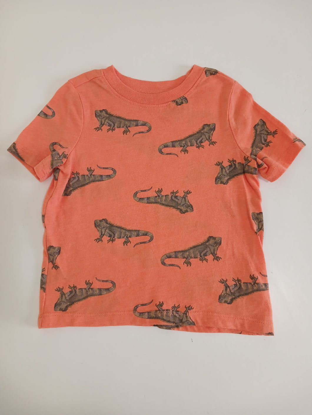 <b>Old Navy</b> Iguana Print Shirt