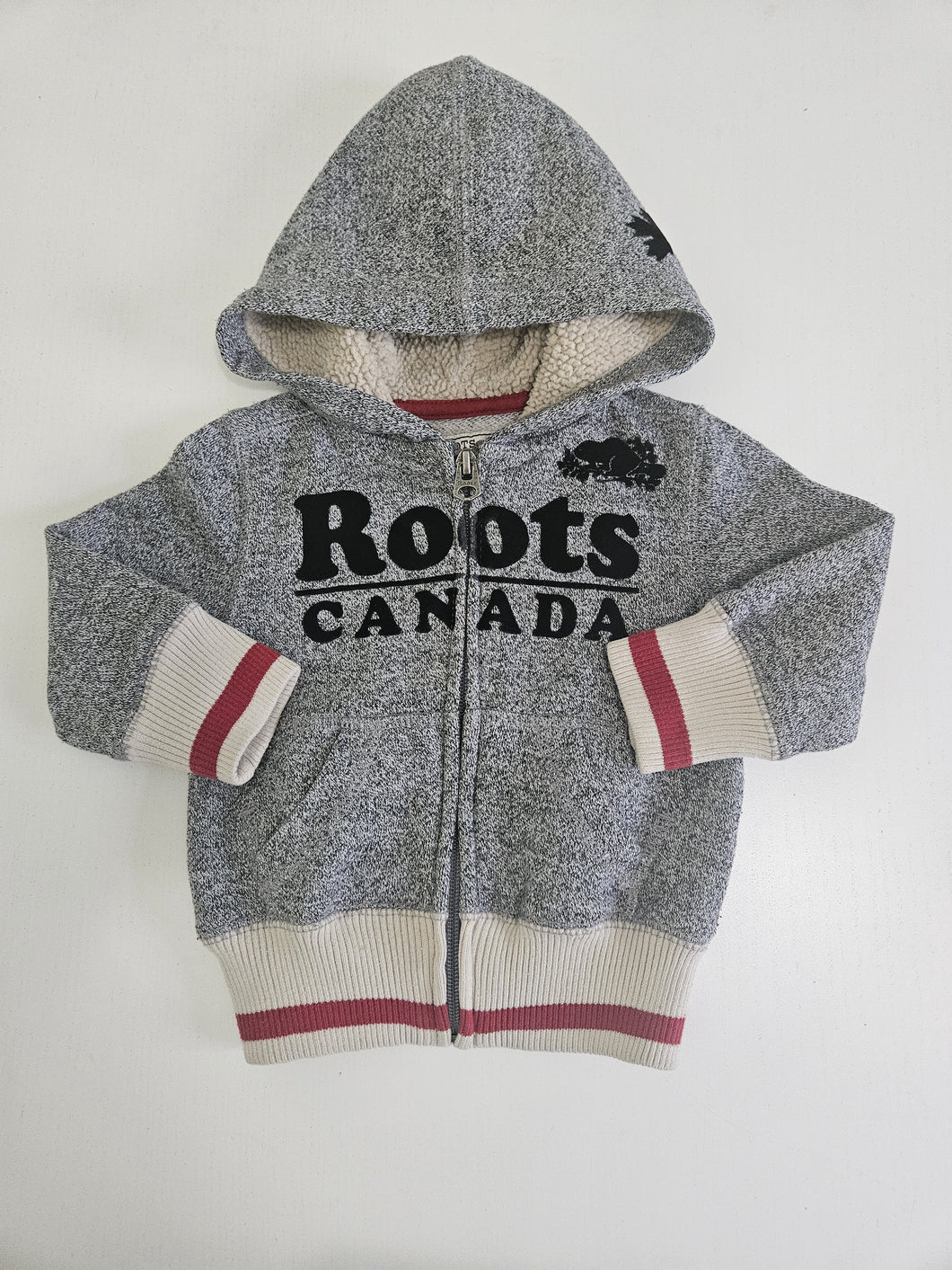 ROOTS • Cabin Zip Hoodie